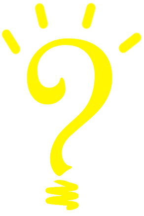 Quiz Insight